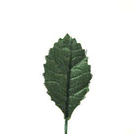 Rosenlaub klein Bund à 12 26x17mm dunkelgrün